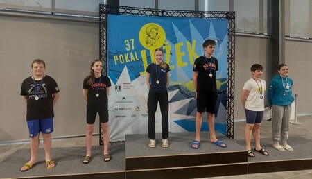 Ježek 2026 (1)